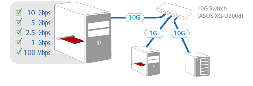 ASUS XG-C100C Netzwerkadapter