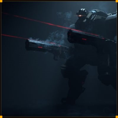 Shadow Boost EIN