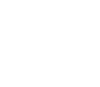 Image des Produktes