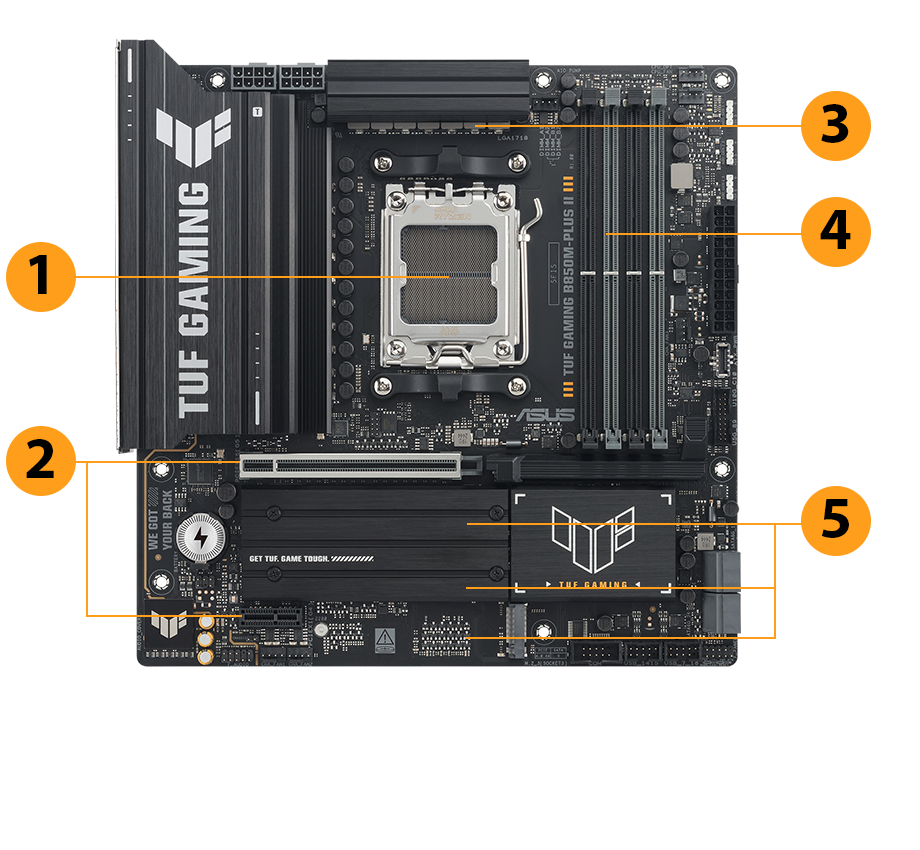 Image des Produktes